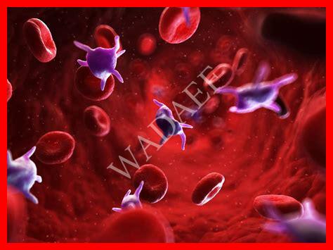 زيادة عدد الصفائح الدموية