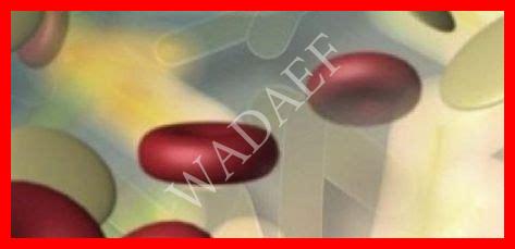 سبب زيادة كريات الدم البيضاء