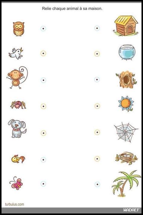 طرق بسيطة لتدريب الحيوانات الأليفة الصغيرة طرق بسيطة لتدريب الحيوانات الأليفة الصغيرة