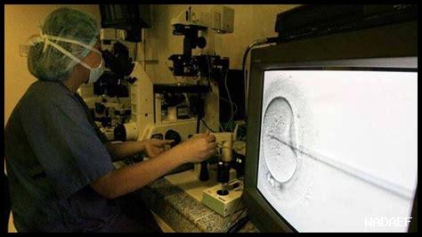 طرق طبيعية لزيادة الخصوبة