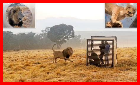 قفص حديقة حيوان قفص حديقة حيوان