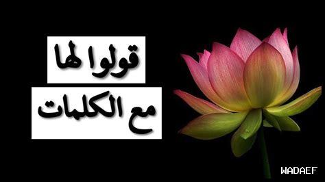 قولو لها انني لازلت اهواها كلمات