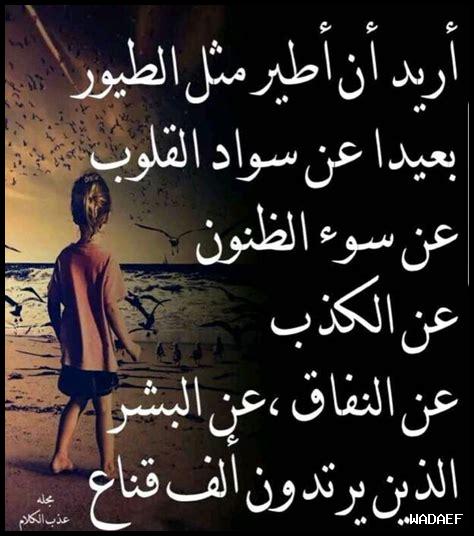 كلام عن الخيانة والجرح كلام عن الخيانة والجرح