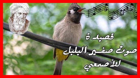 كلمات قصيدة صوت صفير البلبل كلمات قصيدة صوت صفير البلبل