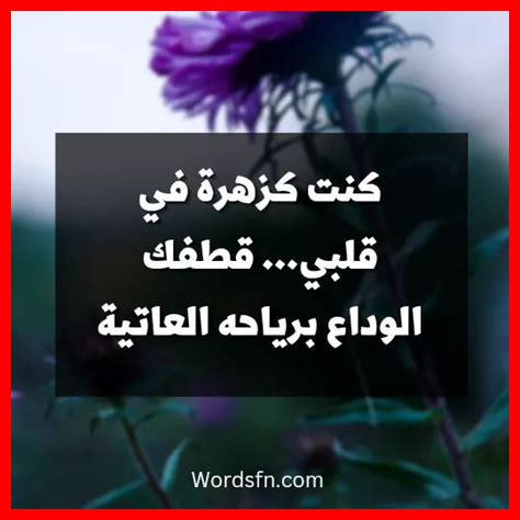كلمات وداع واعتذار قبل الرحيل كلمات وداع واعتذار قبل الرحيل