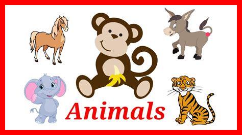 كلمة حديقة حيوان بالانجليزي كلمة حديقة حيوان بالانجليزي