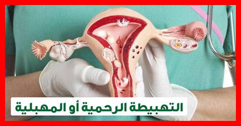كيف أتعامل مع مشاكل الحمل خارج الرحم؟ كيف أتعامل مع مشاكل الحمل خارج الرحم؟