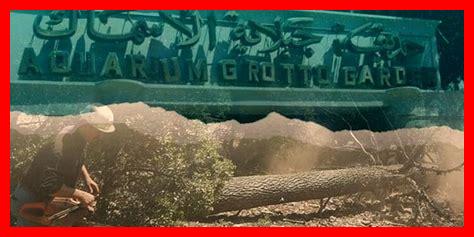 كيف أحقق توازن بين سرعة ودقة الترجمة كيف أحقق توازن بين سرعة ودقة الترجمة