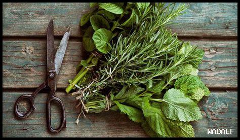 كيف أستخدم ميز