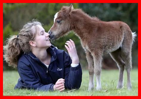 كيف تؤسس علاقة قوية مع حيوانك الأليف الصغير كيف تؤسس علاقة قوية مع حيوانك الأليف الصغير