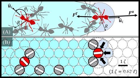 كيف تتغير القواعد في NBA بمرور الوقت