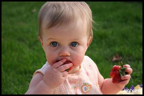 كيف تختار اللغة الأجنبية المناسبة لطفلك كيف تختار اللغة الأجنبية المناسبة لطفلك