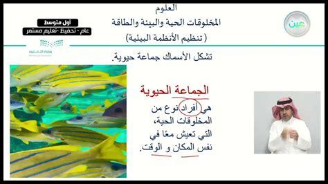 كيف تساعد الأنظمة البيئية في تنظيم حالة الطقس