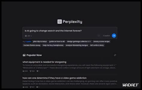 كيف تساهم Perplexity AI في تعزيز الكفاءة العملية؟