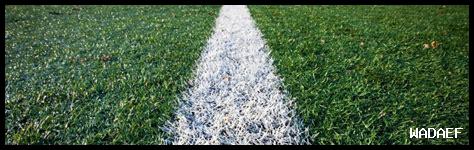 كيف يساهم Live Score في التنمية الرياضية في المجتمع كيف يساهم Live Score في التنمية الرياضية في المجتمع