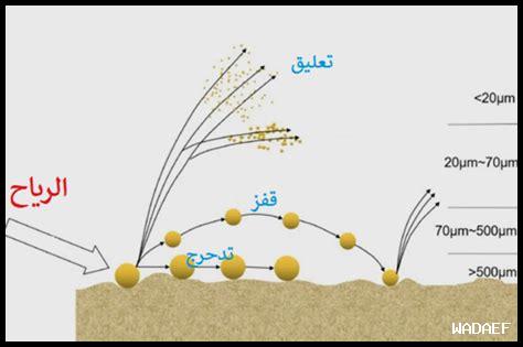 كيف يمكن أن تؤثر العواصف على حياتنا اليومية؟