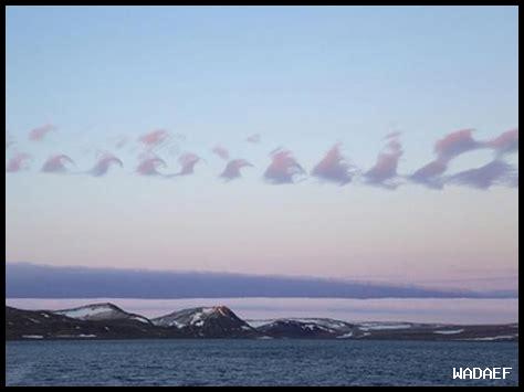 كيف يمكن التنبؤ بالطقس باستخدام التطبيقات الحديثة؟