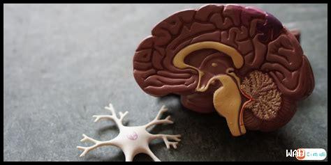 كيف يمكنني العثور على فنانين محليين على سبوتيفاي