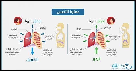 كيف يُسهّل SXMB من عملية الابتكار