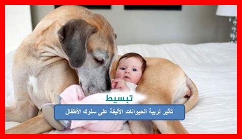 كيفية التعامل مع سلوكيات الحيوانات الأليفة الصغيرة كيفية التعامل مع سلوكيات الحيوانات الأليفة الصغيرة