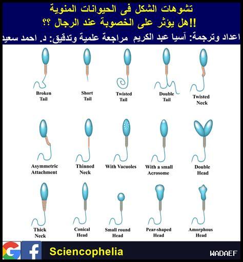 كيفية التعامل مع مشاكل الحيوانات المنوية