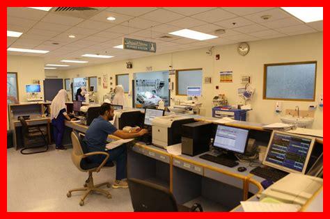 كيفية تقليل توتر حافظتك خلال العناية بحيواناتك الأليفة كيفية تقليل توتر حافظتك خلال العناية بحيواناتك الأليفة