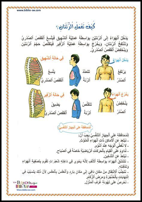 كيفية عمل الجهاز التنفسي وأهمية التنفس العميق كيفية عمل الجهاز التنفسي وأهمية التنفس العميق