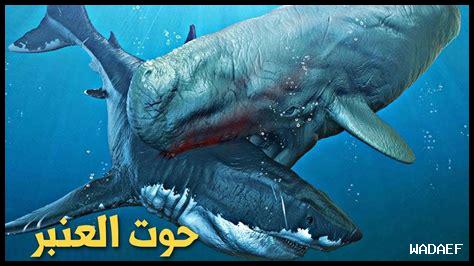 ما الذي يجعل NFL فريدا من نوعه