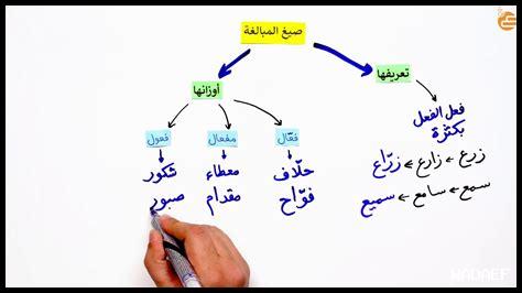 ما هي أبرز مراجعات ساتا كينغ