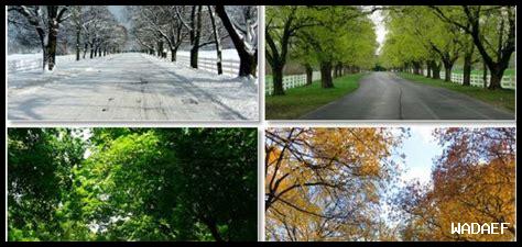 ما هي أجمل الفصول للزيارة بناءً على حالة الطقس؟