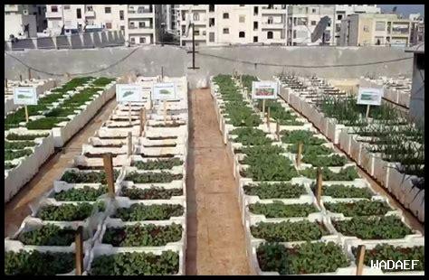 ما هي أساليب الزراعة المستدامة في الطقس المتغير؟