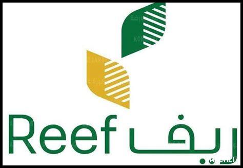 ما هي أفضل الطرق للحصول على خصومات عبر Booking