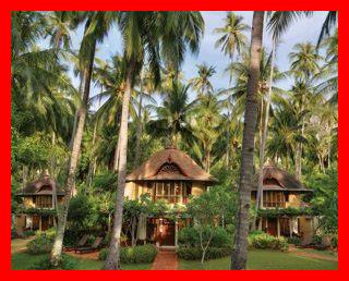 ما هي أفضل فنادق الغابات؟ ما هي أفضل فنادق الغابات؟