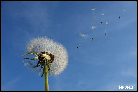 ما هي أفضل مصادر معلومات الطقس في الوطن العربي؟