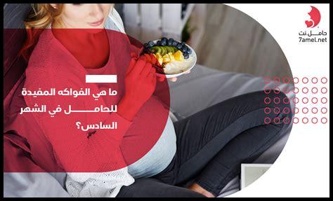 ما هي الأدلة المفيدة لتصميمات Canva للمبتدئين