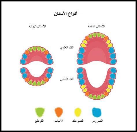 ما هي الأسماء البارزة الموجودة في ESPN