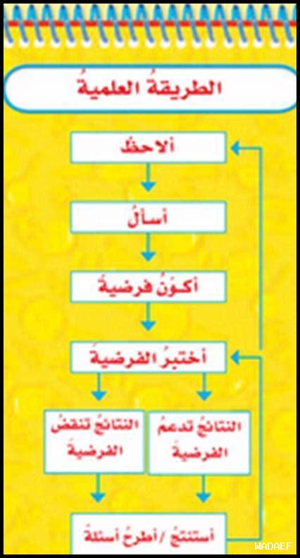ما هي التحقيقات الجريئة التي نشرتها دايلي ميل؟