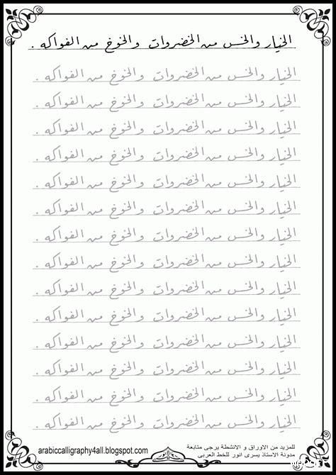 ما هي الخيارات المتاحة لتحسين تصميم صفحات الهبوط في ووردبريس