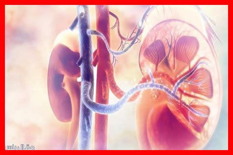 ما هي الفوائد المترتبة على إجراء اختبار سرعة الإنترنت ما هي الفوائد المترتبة على إجراء اختبار سرعة الإنترنت