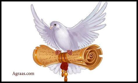 ما هي طرق التواصل عبر هوتمايل