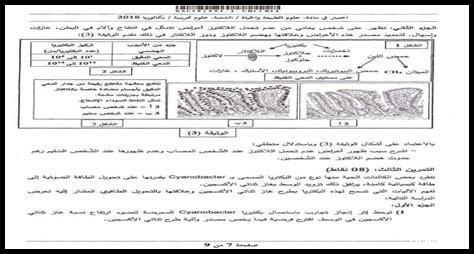 ما هي محتويات دليل المعلم علوم بكالوريا سوريا 2025 PDF؟