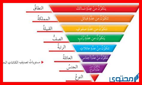ما هي وظيفة المجموعات في تيليجرام؟ ما هي وظيفة المجموعات في تيليجرام؟