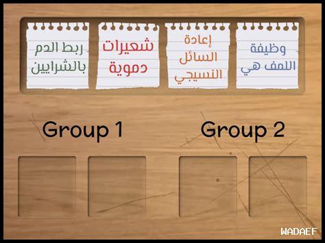 ما هي وظيفة المجموعات في تيليجرام؟ ما هي وظيفة المجموعات في تيليجرام؟