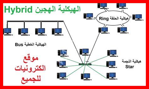 من أنواع هيكلية الشبكة