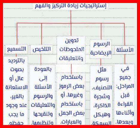 من استراتيجيات زيادة التركيز والفهم