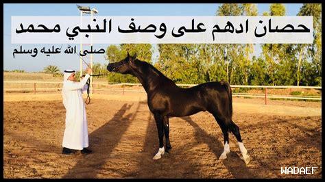 مواصفات خيل الرسول