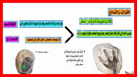 نوع من أنواع الصخور تُحفظ فيه الأحافير
