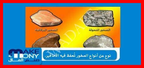 نوع من أنواع الصخور تُحفظ فيها الأحافير