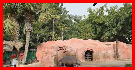 هل حديقة حيوان الإسكندرية مفتوحة هل حديقة حيوان الإسكندرية مفتوحة