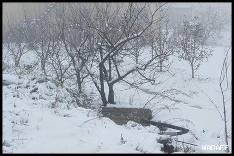 هل سيكون هناك ثلوج غداً؟